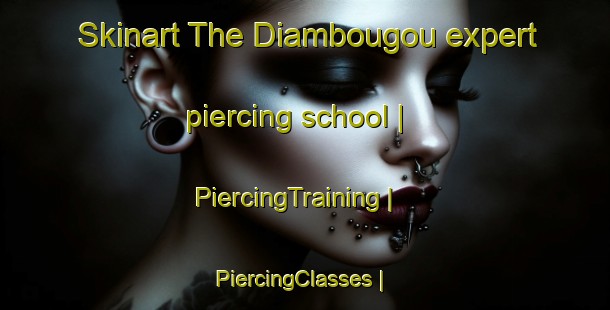 Skinart The Diambougou expert piercing school | PiercingTraining | PiercingClasses | SkinartTraining-Mali